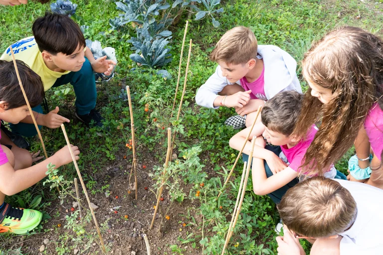 OIS - Orto e giardino didattico