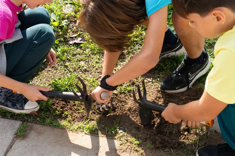 Outdoor education primary School